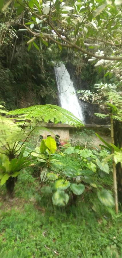 Hidayah Homestay Kelimutu Ngoại thất bức ảnh