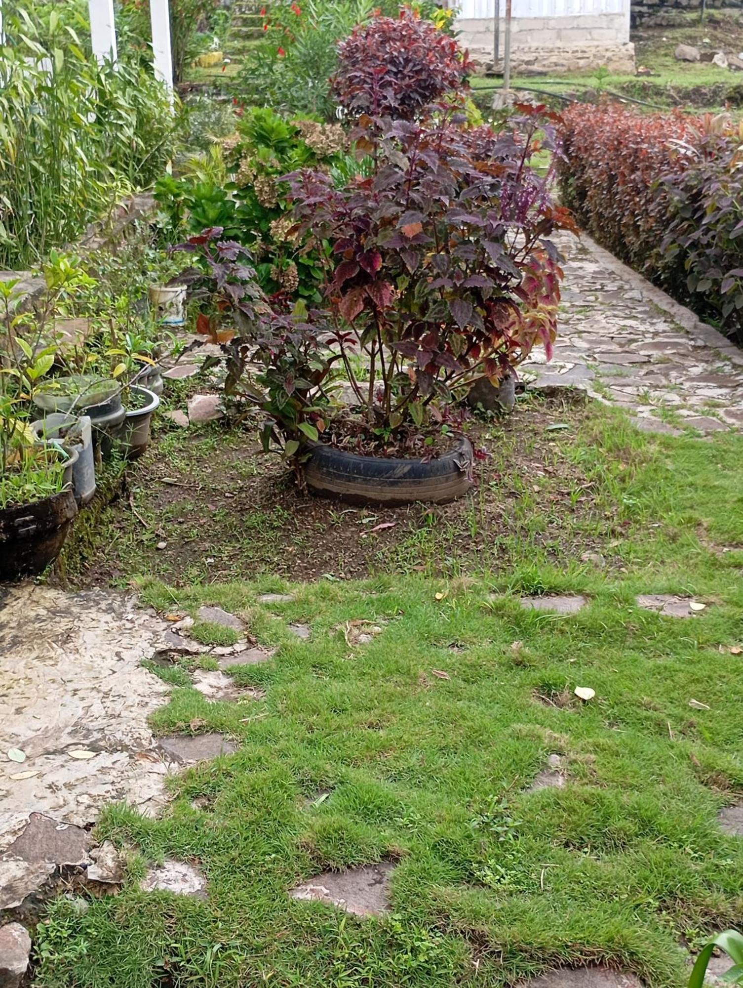 Hidayah Homestay Kelimutu Ngoại thất bức ảnh